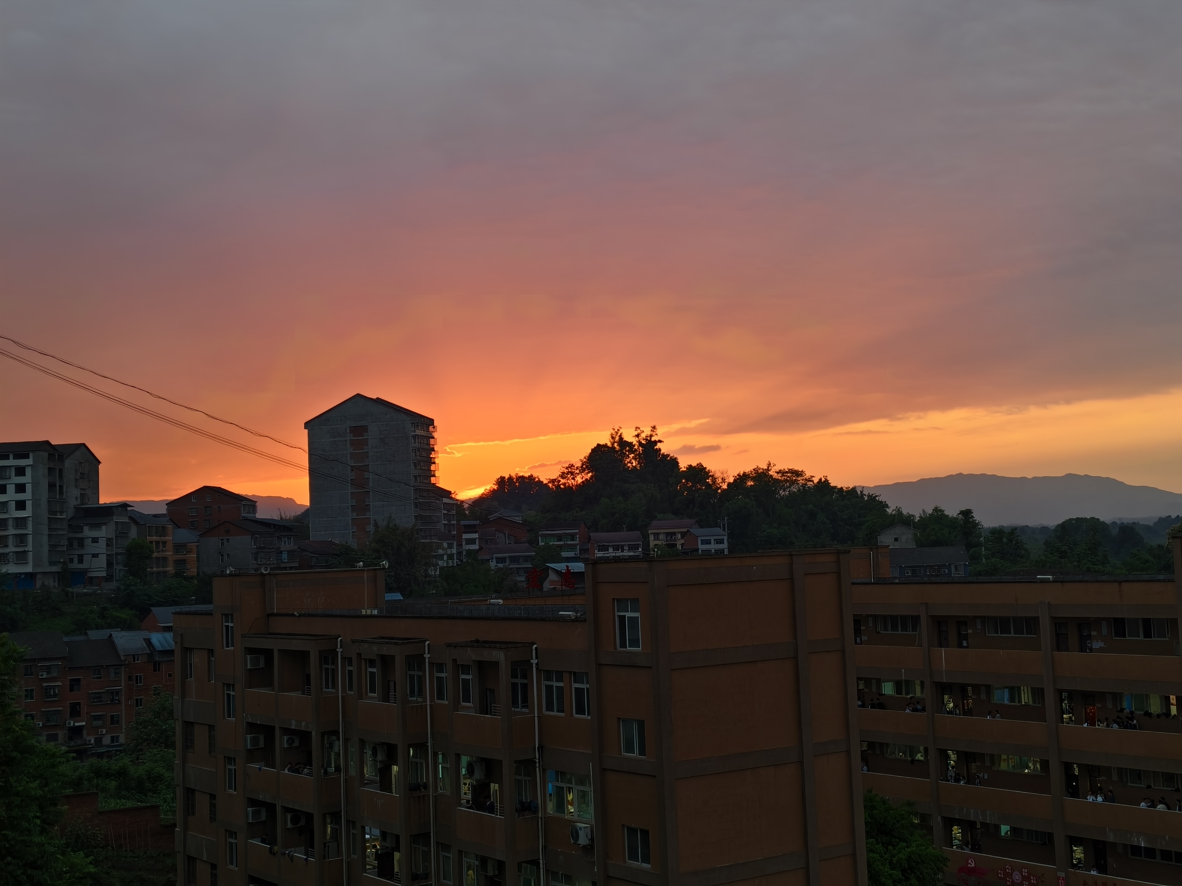 -5d4f1455fc5246dd.jpg